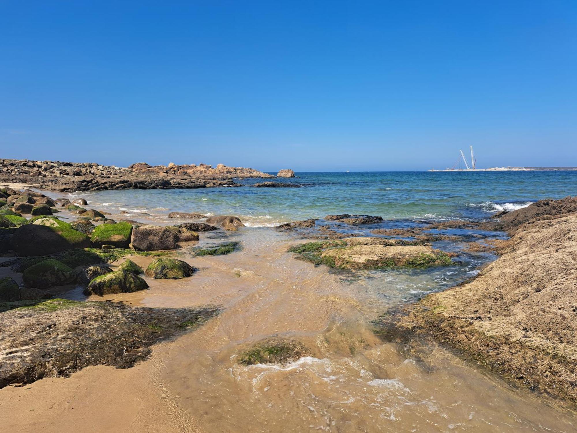 Matosinhos Relax And Fun By Portoproperties4You Buitenkant foto